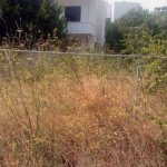 Δήμος Διονύσου: «Έρχονται πρόστιμα για τα ακαθάριστα οικόπεδα»
