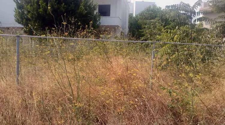 Δήμος Διονύσου: «Έρχονται πρόστιμα για τα ακαθάριστα οικόπεδα»